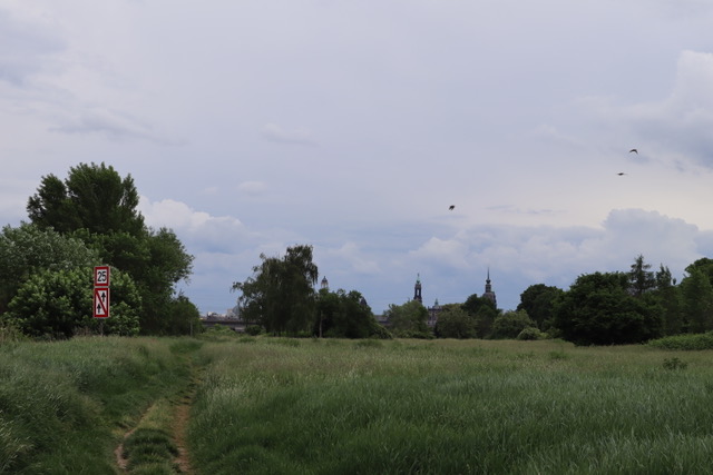 Urbanisierte Stadtnatur – Das Ostragehege zwischen Naturschutz, Naherholung und wirtschaftlicher Entwicklung